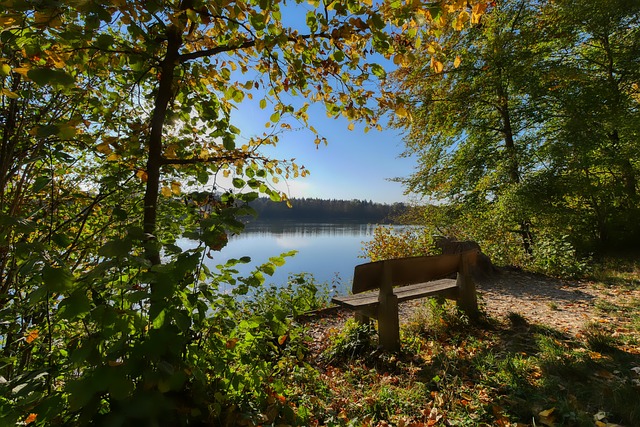 和团队责任 和团队责任