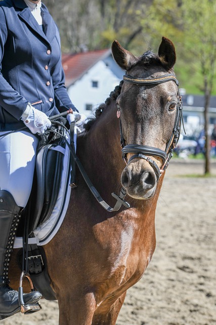 发展计划 发展计划