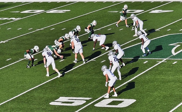 更是展示城 更是展示城