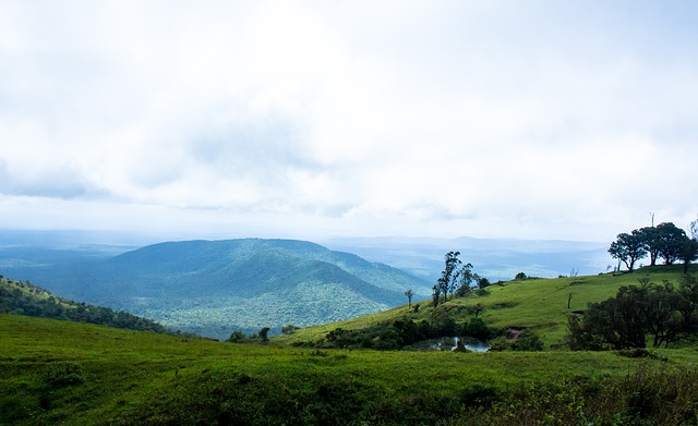 场的成熟 场的成熟
