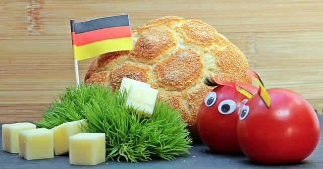 的篮球季 的篮球季