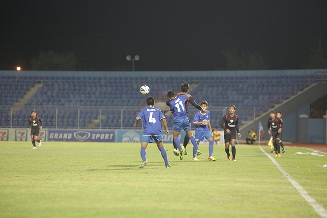 借鉴与展望 借鉴与展望